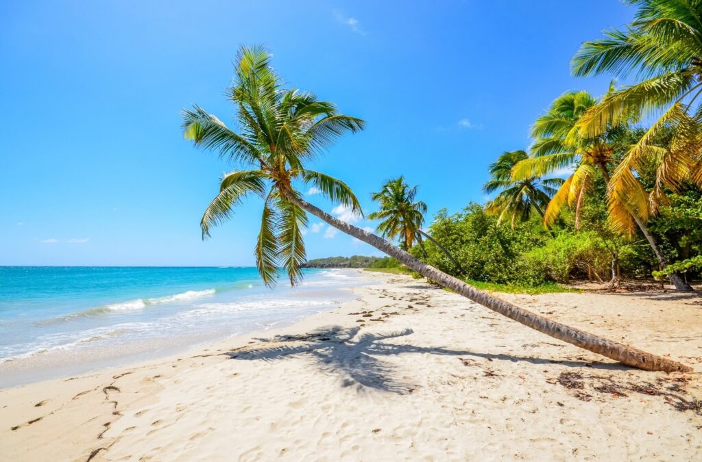 Idyllic beaches of Martinique